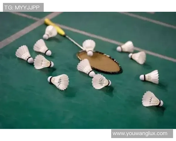 杨静专访揭秘羽毛球成功背后的心路历程与训练秘诀