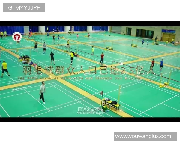 武汉羽毛球队战术解析与运营体系探讨助力羽毛球发展